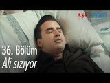 Ali sızıyor - Aşk ve Mavi 36. Bölüm