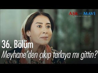 Meyhaneden çıkıpta tarlaya mı gittin? - Aşk ve Mavi 36. Bölüm