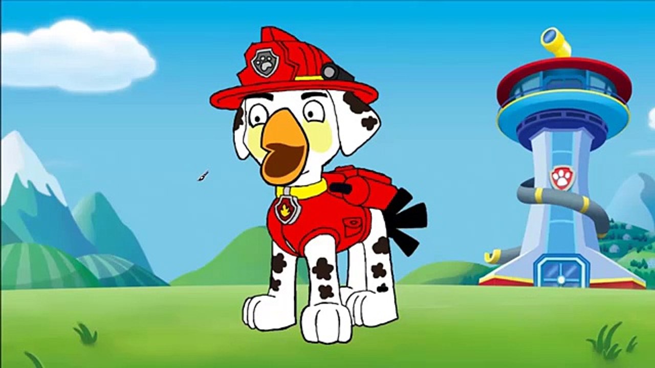 Angry Birds Paw Patrol Transform -Paw Patrol Transform to Angry Birds Learn Colors Coloring Book