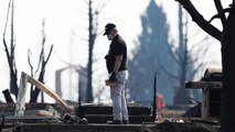 Kaliforniya'da orman yangınları 36 can aldı