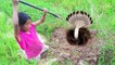 Are you Scared of Snake? Dig Hole Catch Four Big Snakes by Little Sister and Brother (Part