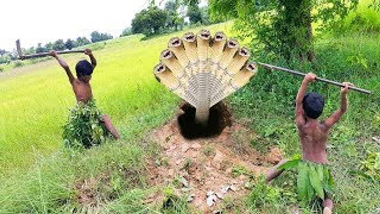 Thats Too Scary!!! Tribal Brothers Catch Three Snakes Using Tongue and Nose For Tracking