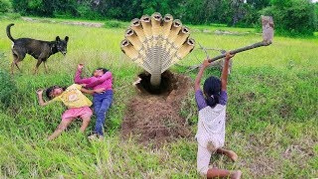 Terrifying!! Three Sisters Dig Hole Catch Snakes For Food Nearby Their House
