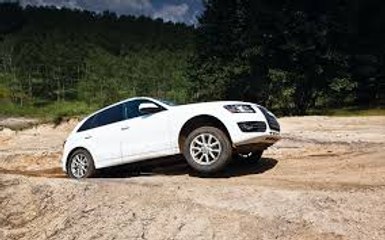 Audi SQ5 (2018) Off-Road Action
