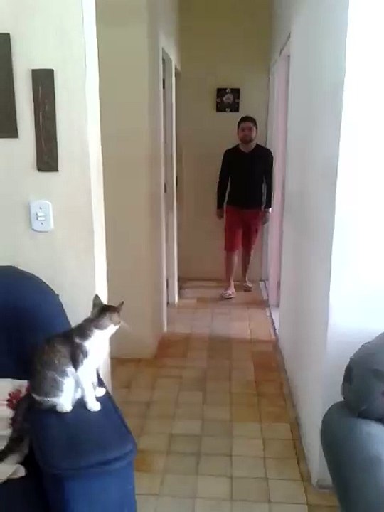 Video très très très drole AMITIE AVEC SON CHAT