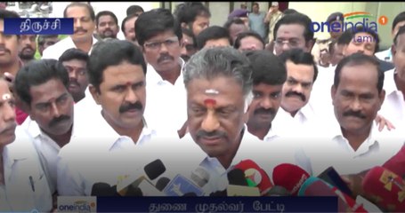 துணை முதல்வர் ஓபிஎஸ் பேட்டி-வீடியோ