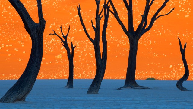 15 PHOTOS INCROYABLES RÉALISÉES SANS TRUCAGE