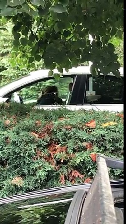 "YOUR PENIS IS TOO SMALL!".