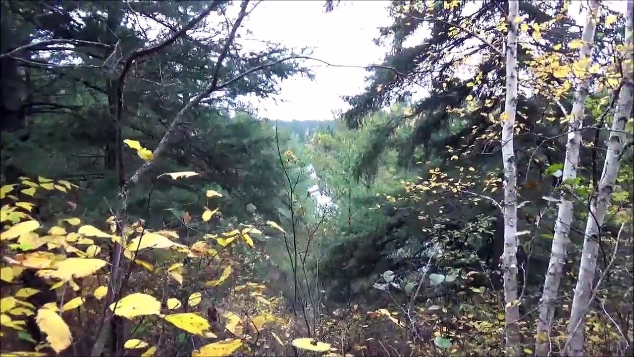 THE TENT. Early October. Grouse hunting. Deer Stands. Scouting. Trail cams.