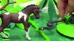 The Fire Horse Legend - Schleich Horses Spooky Halloween Video - Honeyheartsc