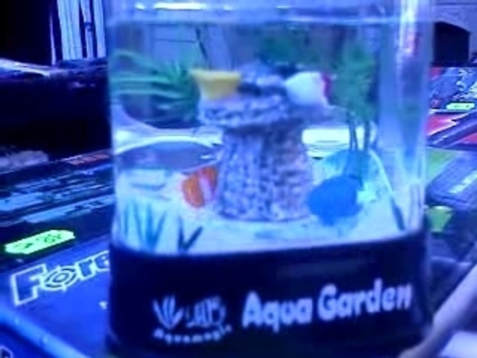 magic aquarium