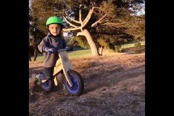 bicicletas para niños