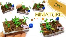 [Diy Miniature vegetable garden] 미니어쳐 텃밭 만들기