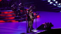 Guns N' Roses Feat. PINK! - Patience (Msg, Nyc) 10.11.17 (P!NK)