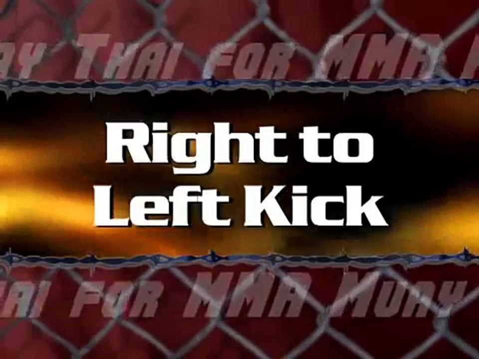 Muay Thai training for MMA Vol. 3 Kicking Basics Full Compilation