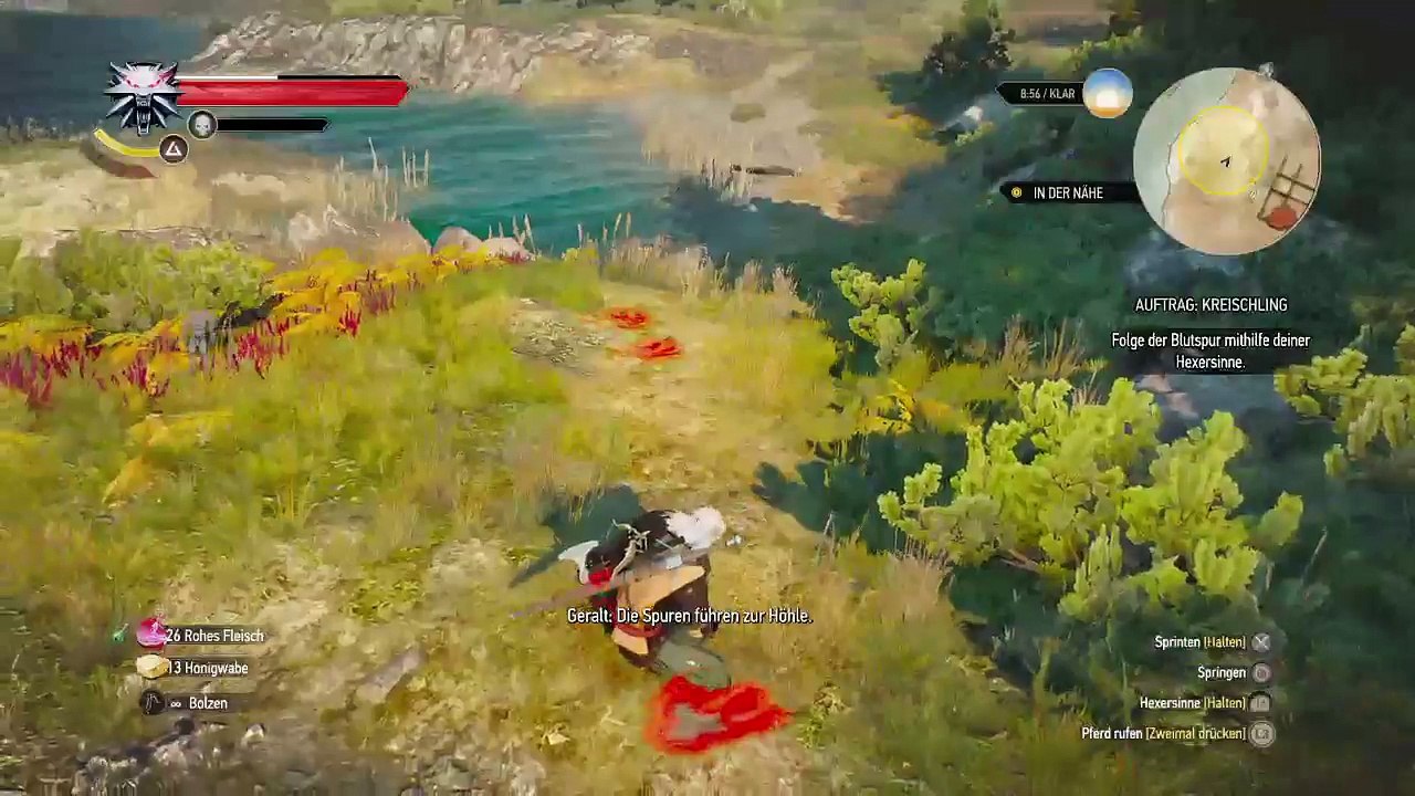 DonAleszandro The Witcher 3 «-Kopfgeldaufträge und Nebenquests mit Geralt dem Hexer-» (86)