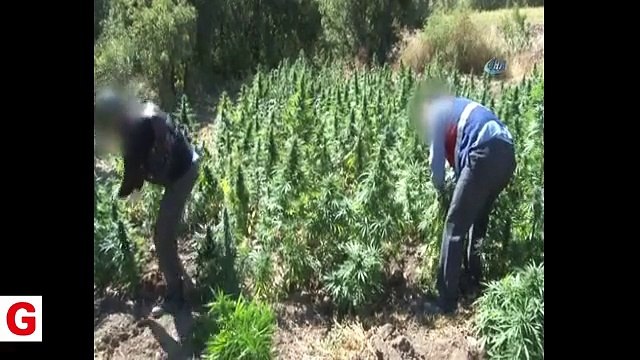 Jandarmadan nefes kesen narko-terör operasyonu