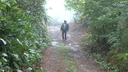 Ahşap Oyuncaklar Kök Boyasıyla Renkleniyor