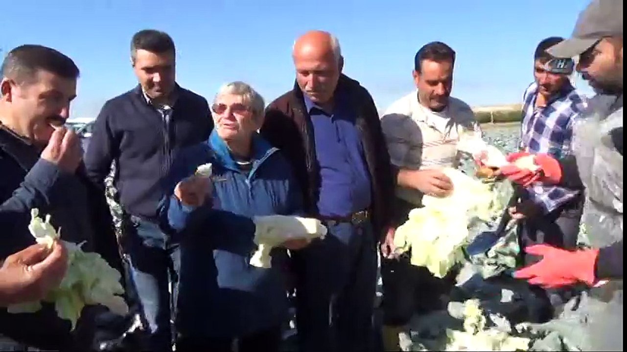 Canan Karatay: ''Lahana Turşusu, Dünyanın En Önemli Tıbbi Malzemelerinden Biri''