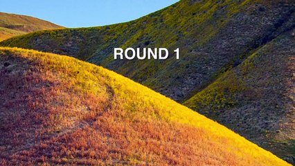 See-Through Leggings Test