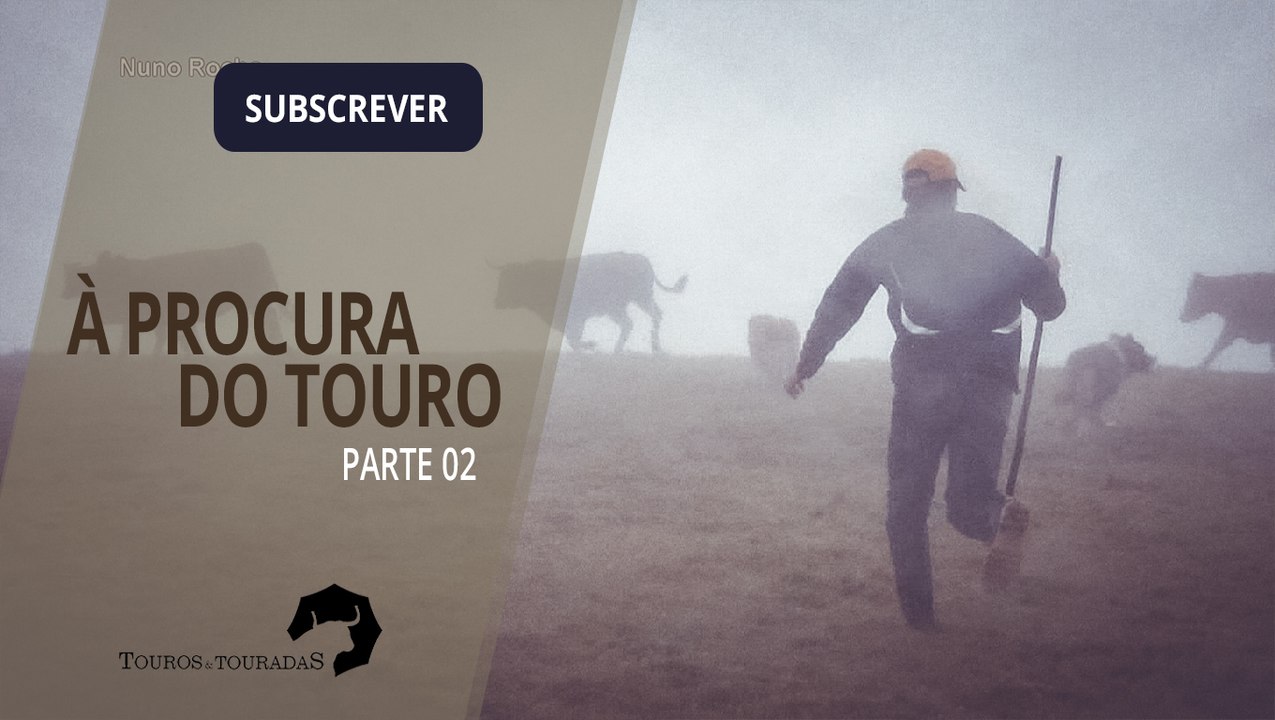 À procura do touro ( Parte 02 )