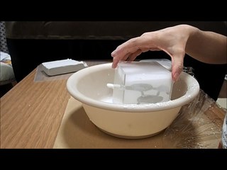 【自作アリ飼育セット・蟻の巣】Formicarium of my own work【自由研究・昆虫観察】動画＜自作アリ飼育ケースの製作＞【女王アリ・働きアリ】Ant colony, Hormigas