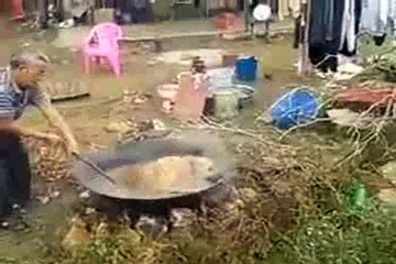 LUỘC CHÓ SỐNG NAM MÔ A DI ĐÀ PHẬT