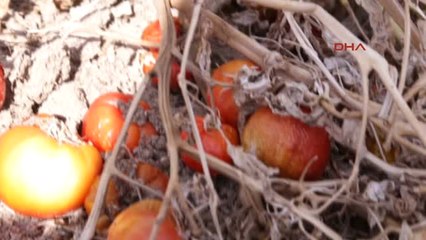 Ankara Kahramankazan'daki Kız Kaçırma Kavgasında 5 Tutuklama