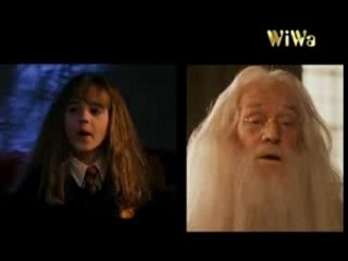 Wenn du denkst - Fresh Dumbledore (feat. Hermine G.)