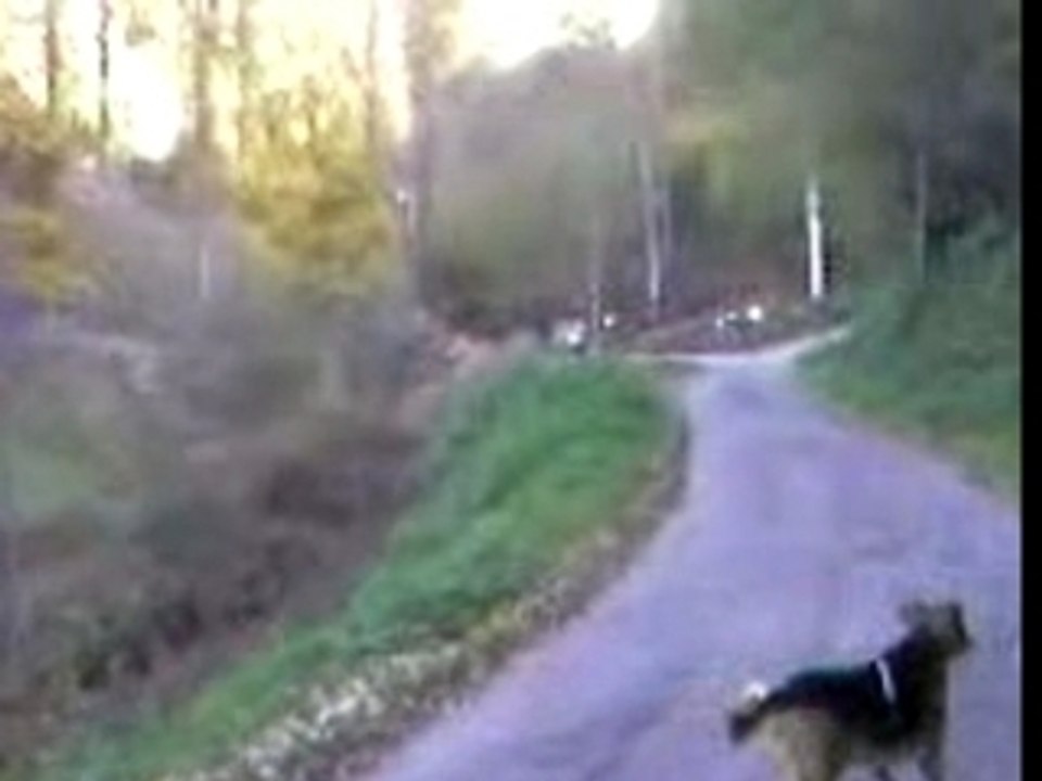 Sur la route de chez moi 3