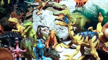 Dinosaur Collection My Dinosaur Collection Dinosaur Toy Collection Dinosaur Collection Toys My Dinos