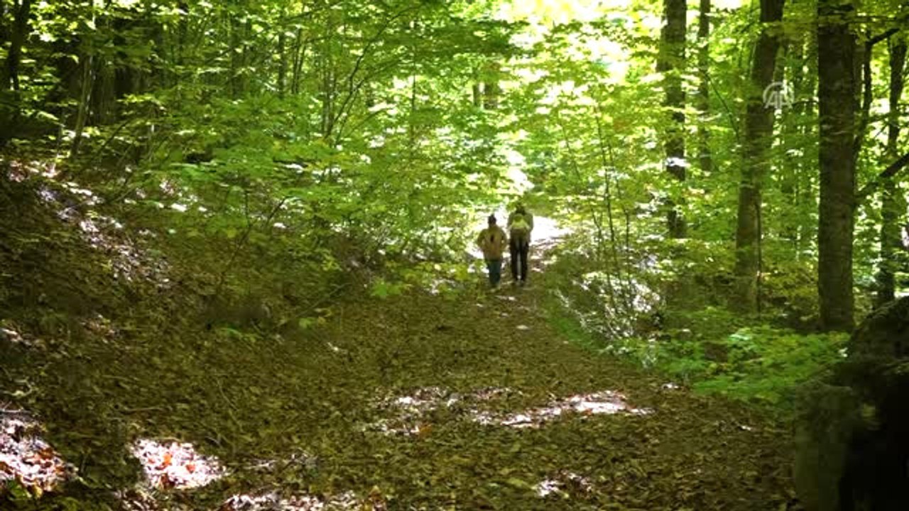 Domaniç Dağları Sonbaharın Renklerine Büründü