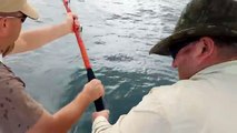 EPIC EXTREME FISHING - BIG MAN CATCHES BIG FISH - FISHING BIG FISH FLORIDA