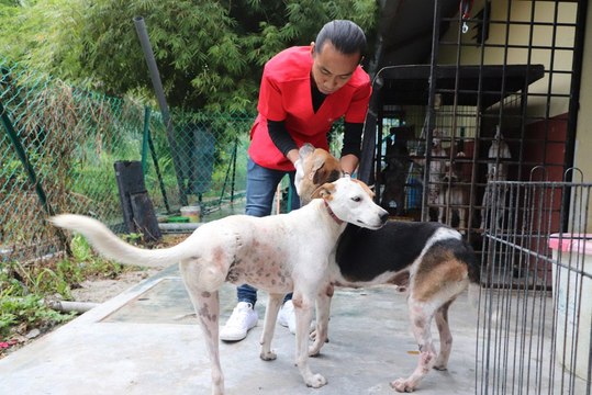 A man's best three-legged friend