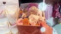 AG Spring Cleaning! Tips/ Tricks - Organizing and Cleaning my Bitty Baby Collection!