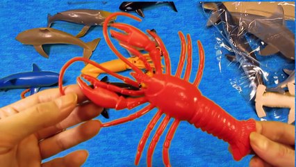 GORGEOUS SEA ANIMALS SURPRISE TOYS 3D PUZZLES - Hammerhead Shark Whale Manta Ray Beluga Turtle