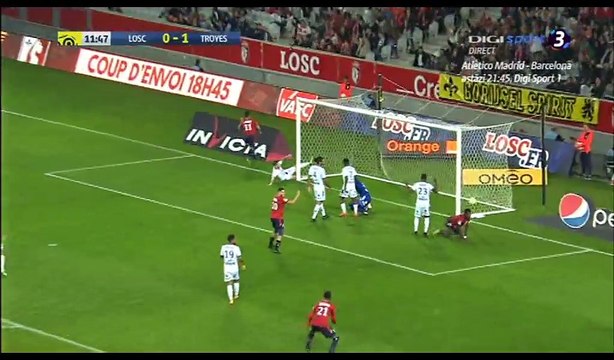 Luiz Araujo Goal HD - Lille 1-1 Troyes - 14.10.2017