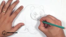 Como desenhar Panda Realista