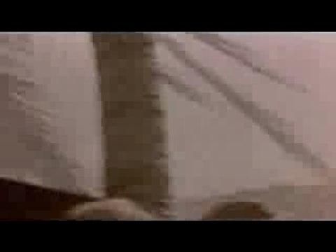 ww2 atoll de Tarawa (pacifique 1943)