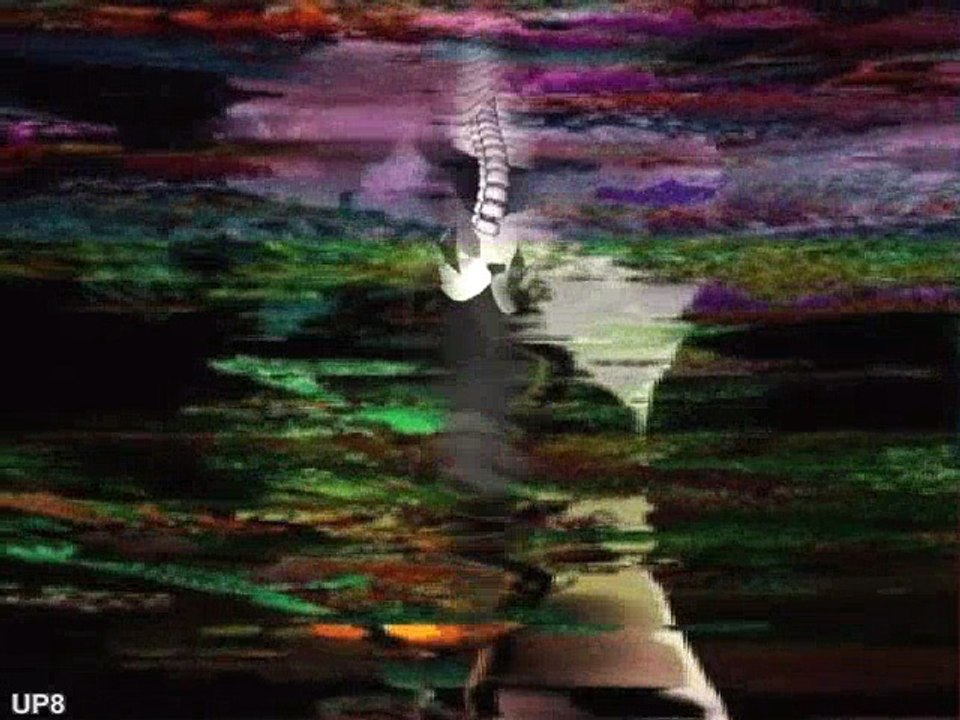 Rosa_la_rose_2000