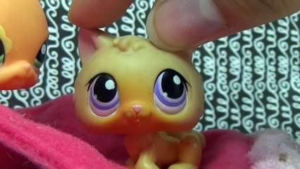 LPS~Castle Walls Season 1 Episode 3 (your lies will catch up to you)