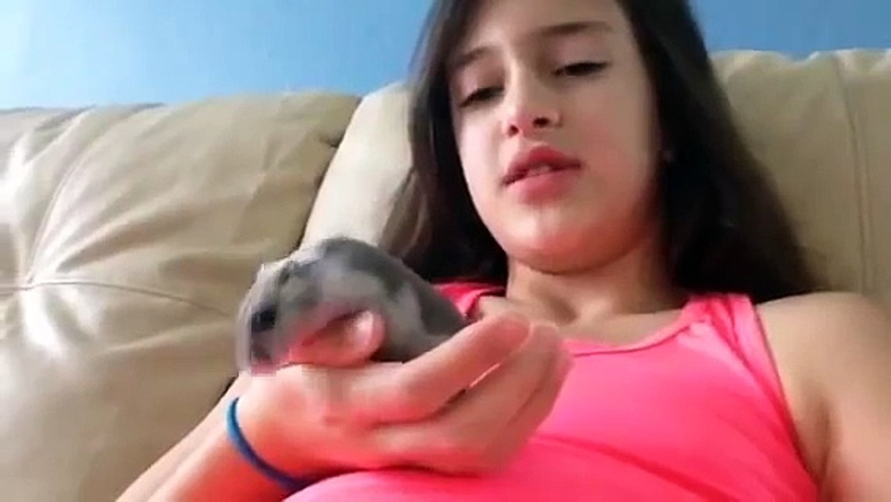 New Hamster!?