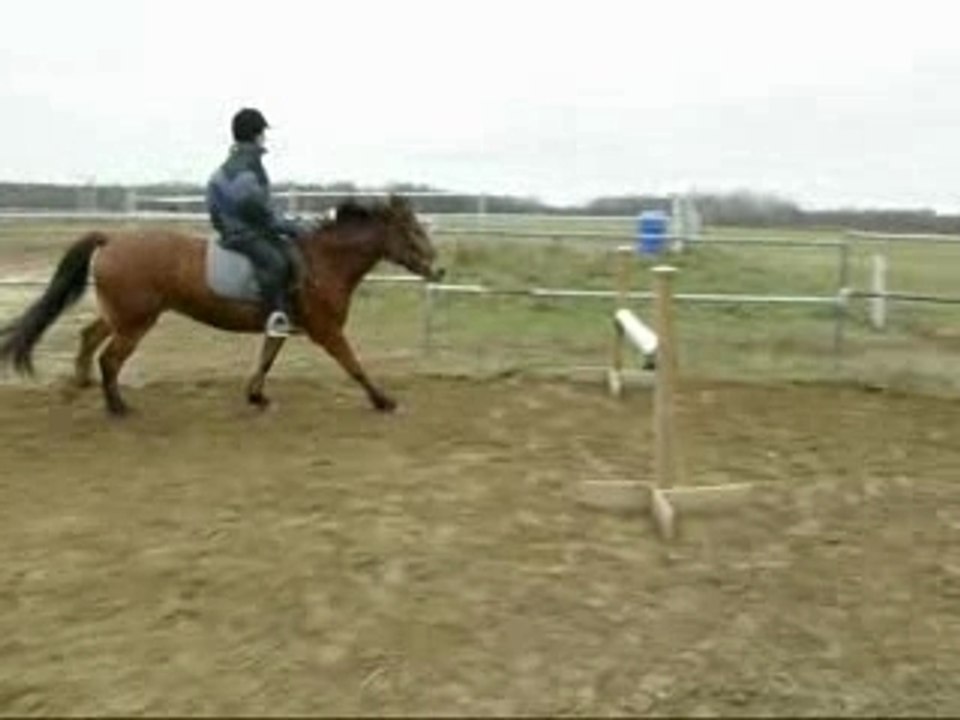 Saut 80 cm