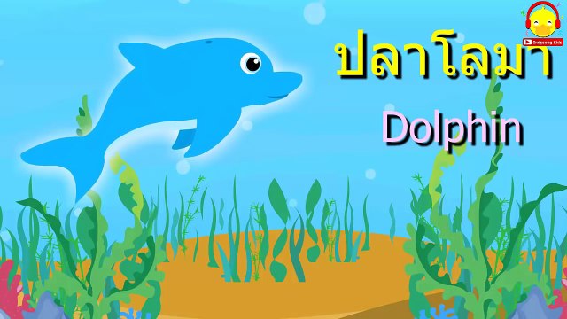 เสียงสัตว์เพื่อการเรียนรู้+เพลงเด็ก ♫เป็ด ช้าง กบ ม้า | Learn Animal sound| Indysong Kids