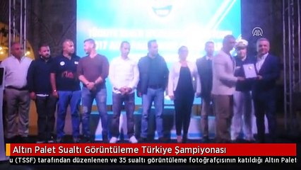 Altın Palet Sualtı Görüntüleme Türkiye Şampiyonası