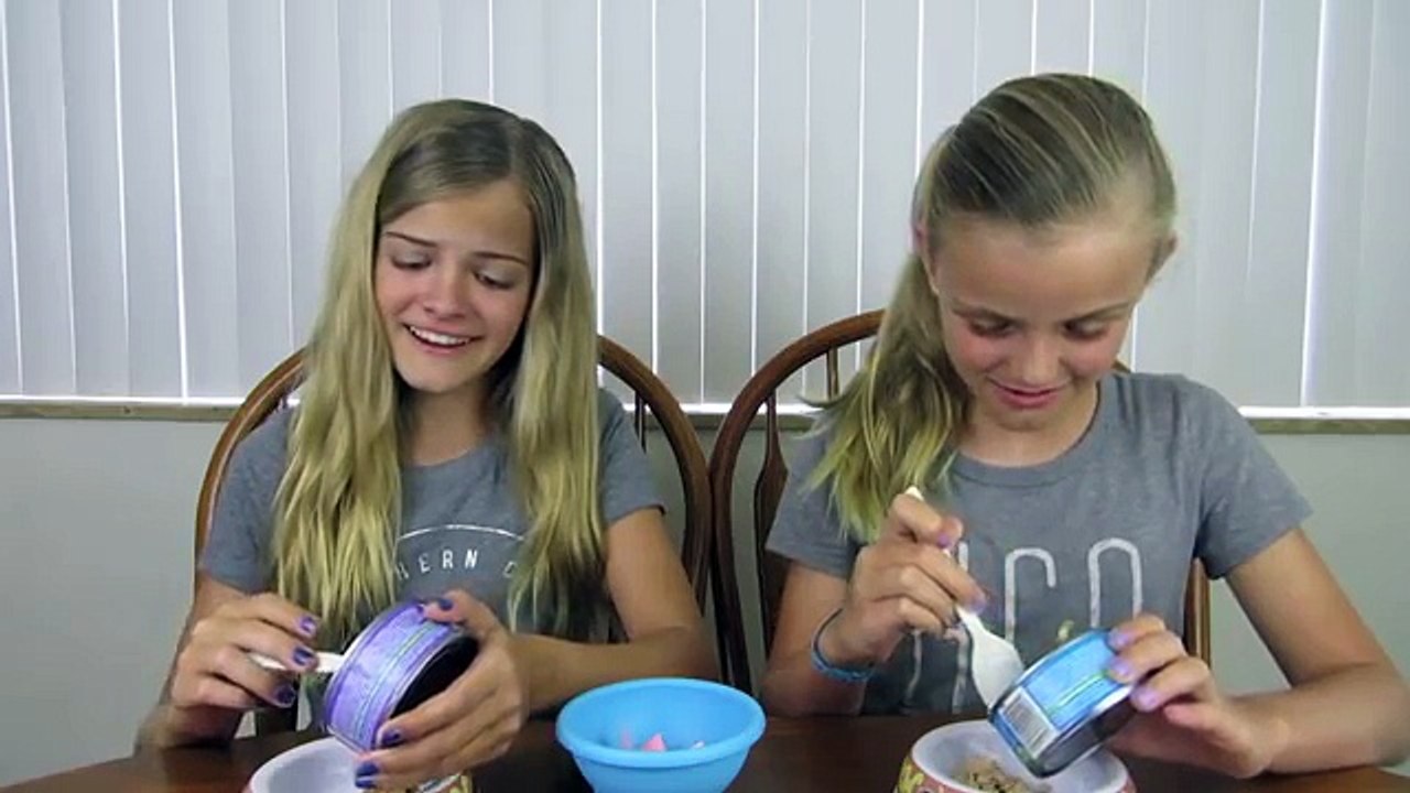 Cat Food Challenge ~ Jacy and Kacy