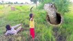 Terrifying!! Caught Big Snake While Cutting Grass For Cows by Two Sisters