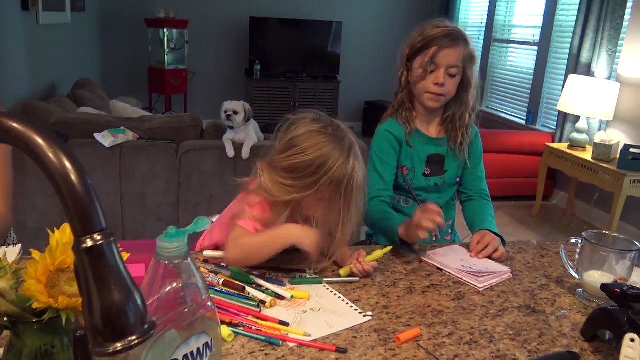 BURNING DOWN THE HOUSE!! | FAMILY VLOGS | SMELLY BELLY TV