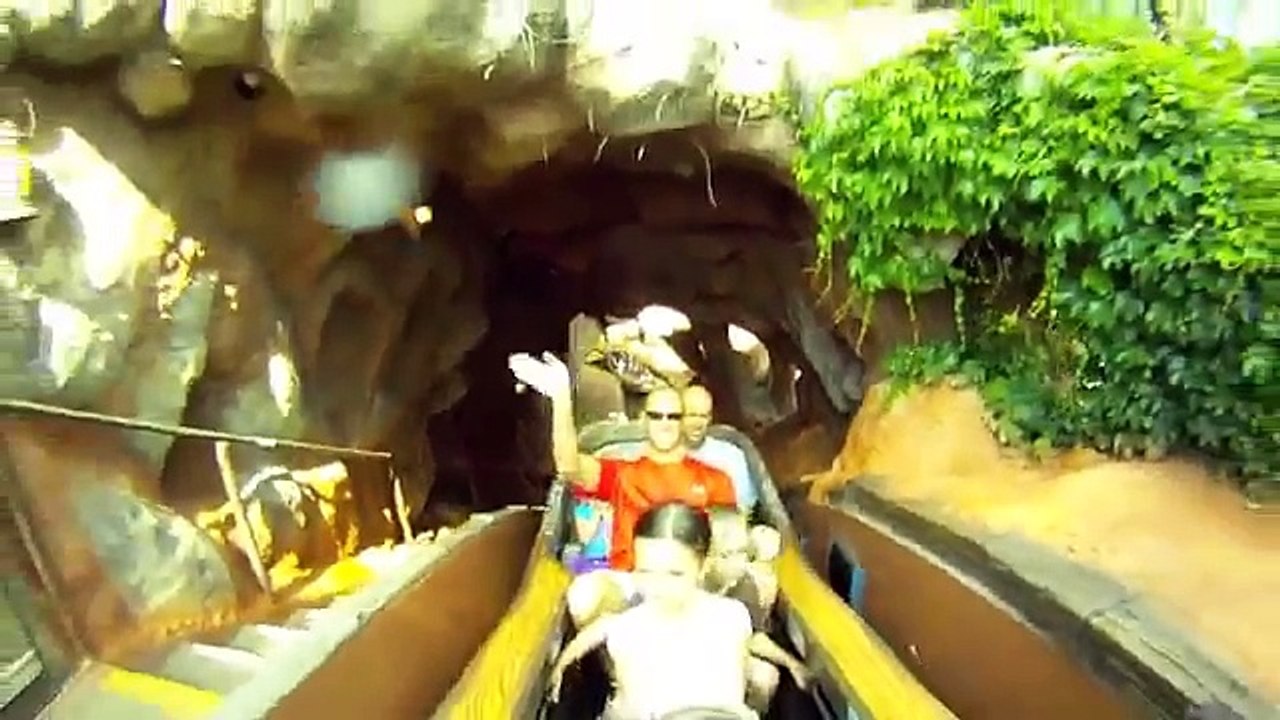 Splash Mountain - Disneyland