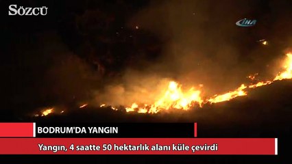 Bodrum’da yangın